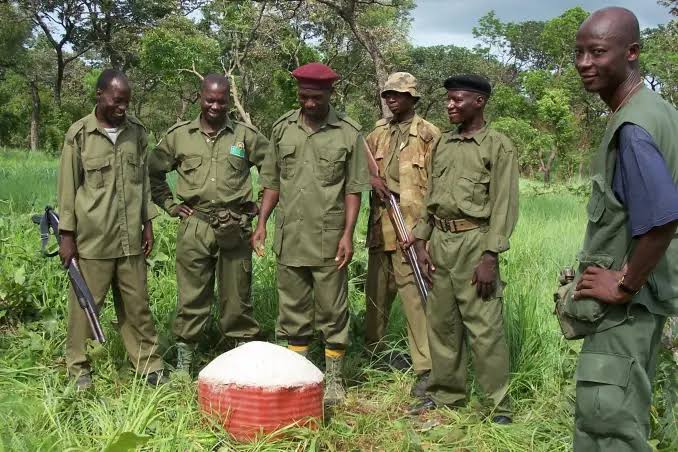 Shugaban Ƙasa, Bola Ahmed Tinubu, ya amince da ɗaukar ma’aikatan tsaron gandun daji (Forest Guards) guda 1,000 a Katsina