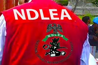 NDLEA ta kama wata taohuwa yar Shekara 67 dake zaune a birtaniya  dauke da kilo 13 na Hodar ibilis a Legas
